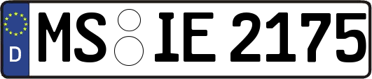 MS-IE2175