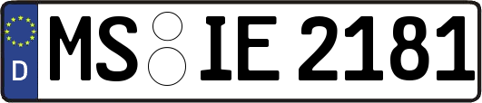 MS-IE2181