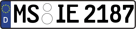 MS-IE2187