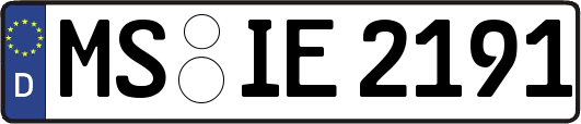 MS-IE2191