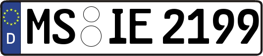 MS-IE2199