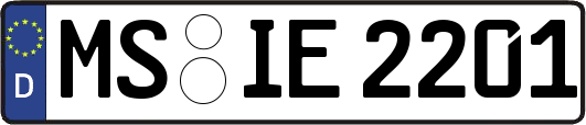MS-IE2201