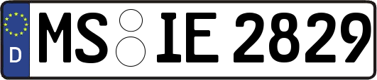 MS-IE2829