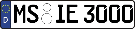 MS-IE3000