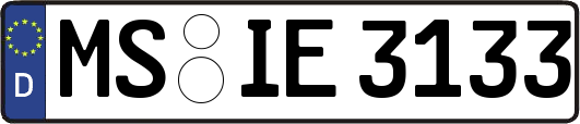 MS-IE3133