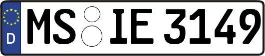 MS-IE3149