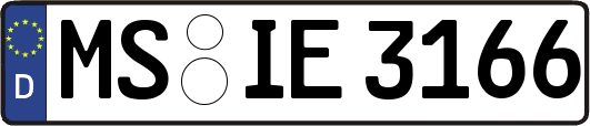 MS-IE3166