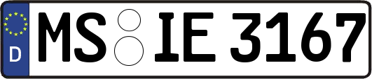 MS-IE3167