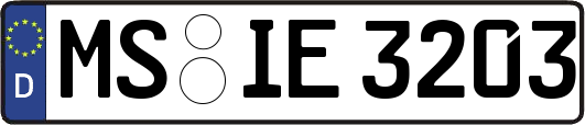MS-IE3203