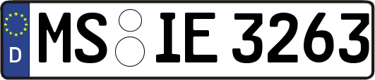 MS-IE3263