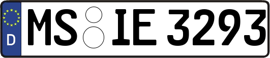 MS-IE3293