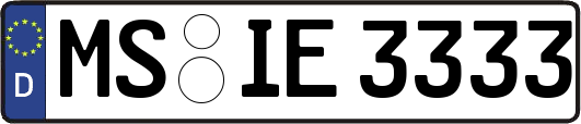 MS-IE3333