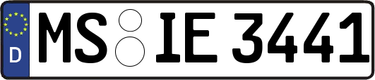 MS-IE3441