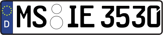 MS-IE3530