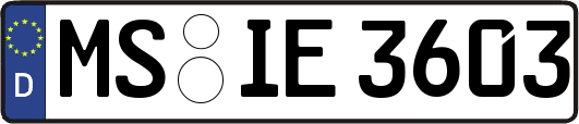 MS-IE3603