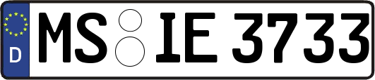 MS-IE3733