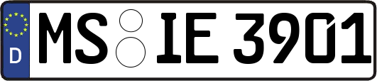 MS-IE3901