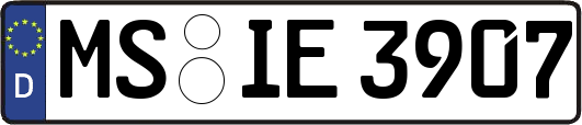 MS-IE3907