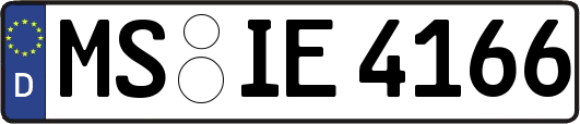 MS-IE4166