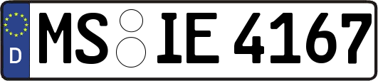 MS-IE4167