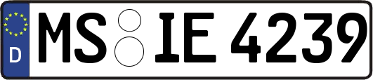 MS-IE4239