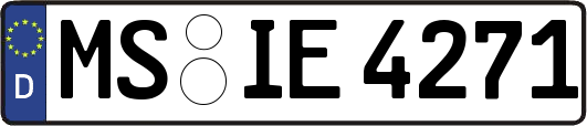 MS-IE4271