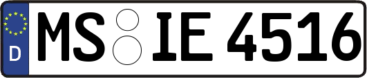 MS-IE4516