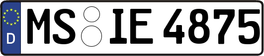 MS-IE4875