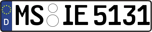 MS-IE5131