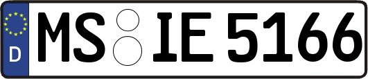 MS-IE5166