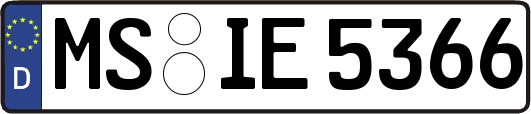 MS-IE5366