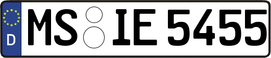 MS-IE5455
