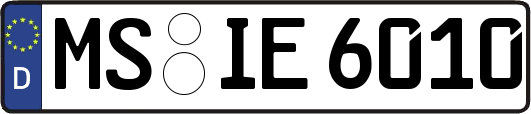 MS-IE6010