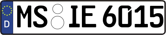 MS-IE6015