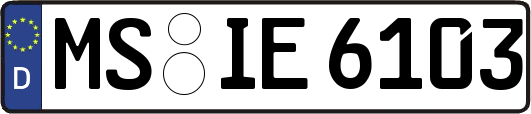 MS-IE6103
