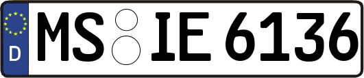 MS-IE6136