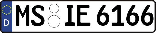 MS-IE6166