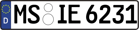 MS-IE6231