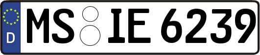 MS-IE6239