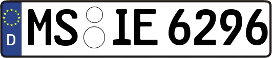 MS-IE6296