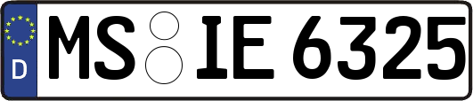 MS-IE6325