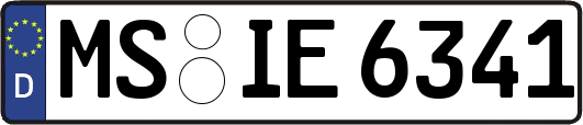 MS-IE6341