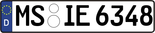MS-IE6348