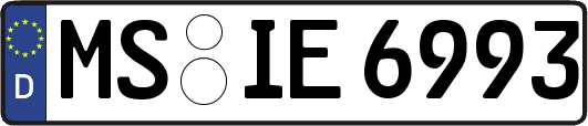 MS-IE6993