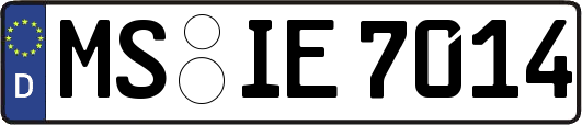 MS-IE7014