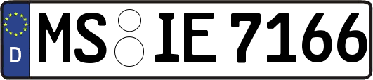 MS-IE7166
