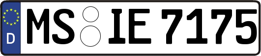 MS-IE7175