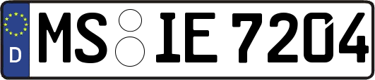 MS-IE7204