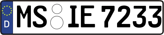 MS-IE7233