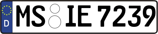 MS-IE7239